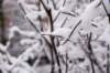 winter21_small.jpg