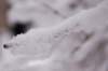 winter22_small.jpg
