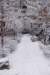 winter26_small.jpg