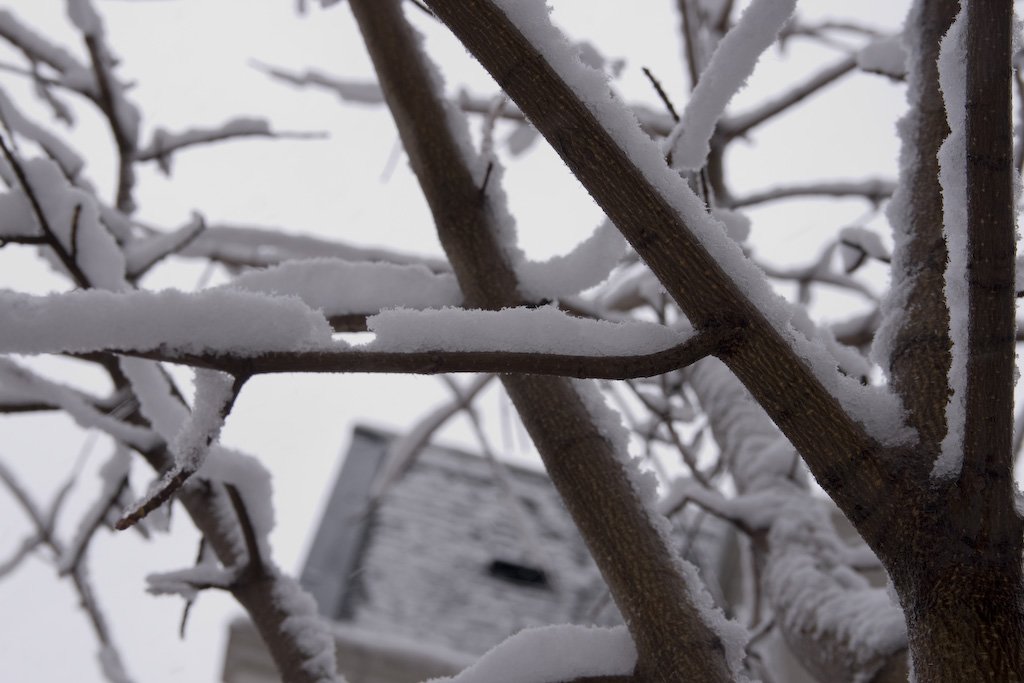 winter4.jpg