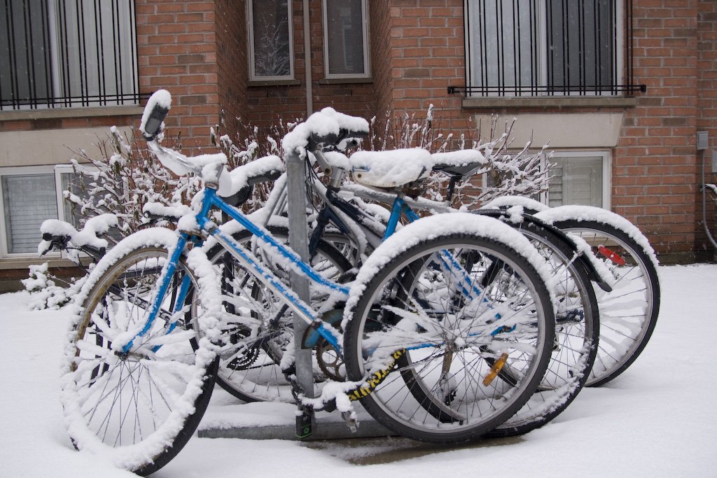 winter5.jpg