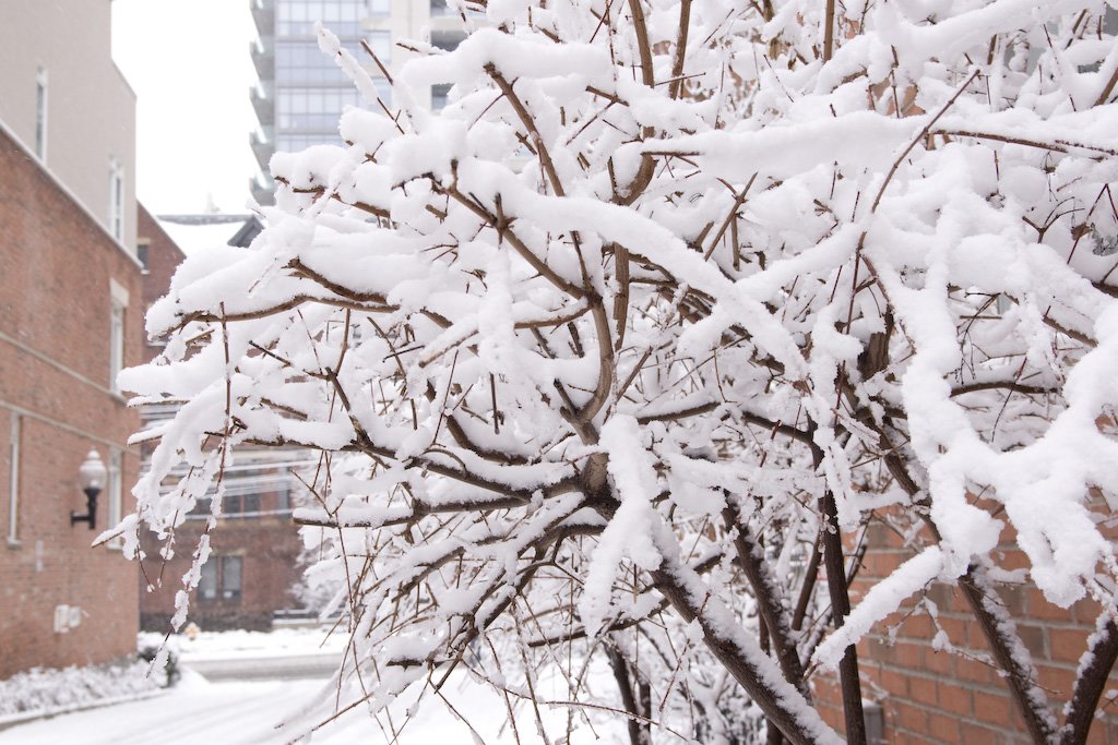 winterwonderland.jpg