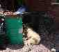 Photo Number 13