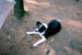 PICT0005