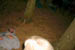 PICT0040