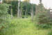 PICT0045