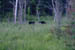 PICT0047