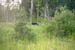 PICT0049