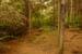 PICT0081
