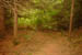 PICT0082