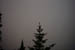 PICT0083