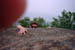 PICT0087