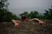PICT0088
