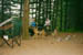 PICT0096