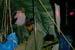 PICT0029