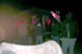 PICT0032